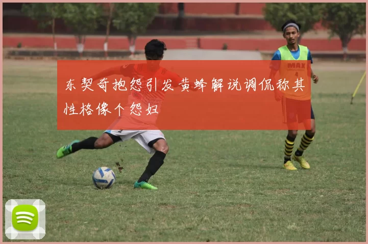 东契奇抱怨引发黄蜂解说调侃称其性格像个怨妇